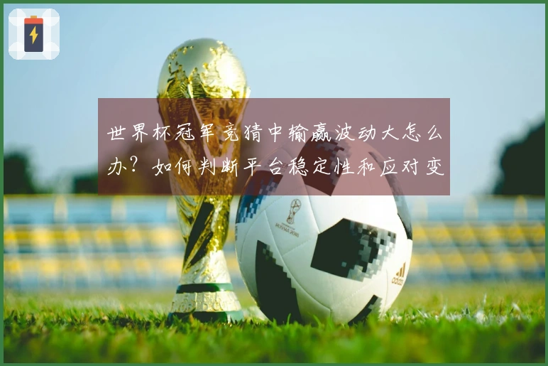 世界杯冠军竞猜中输赢波动大怎么办？如何判断平台稳定性和应对变化